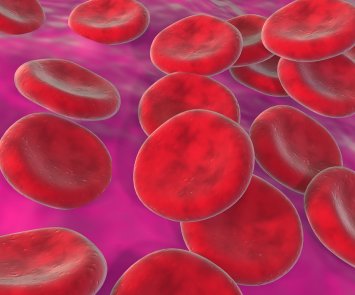 Red blood cells